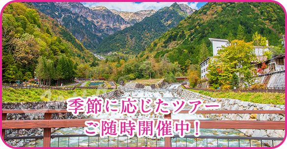 季節に応じたツアーご随時開催中！